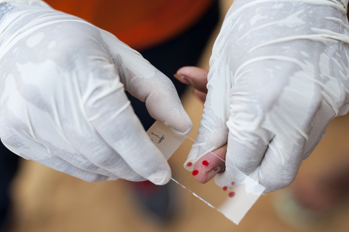 Being able to sequence parasite genomes from small blood samples makes gathering large datasets much easier. Photo credit: Sesai Ministério da Saúde, Brazil